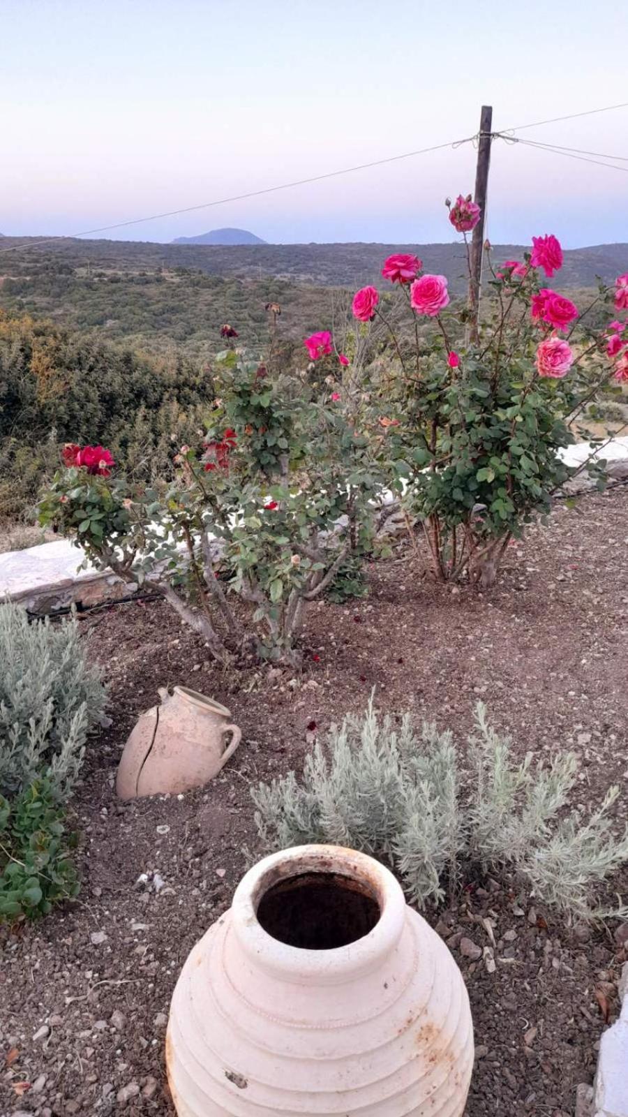 Вилла Tsipouras House Kythira Town Экстерьер фото